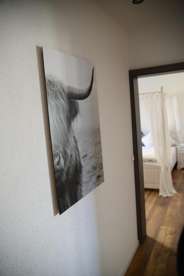 Ferienwohnung Die Alte Schule Daun Exterior foto